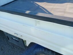
										1993 HONDA ACTY TRUCK full									